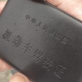 一条安于现状的咸鱼头像