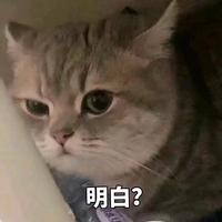 你转身向北s头像