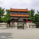 阜城潇洒哥头像