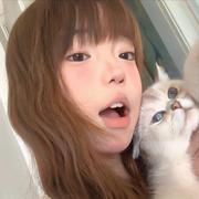 脑袋困掉咯的个人资料头像