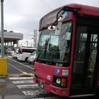 慕斯西安头像