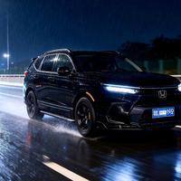 开本田的小白白头像