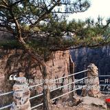 平安是福78067头像