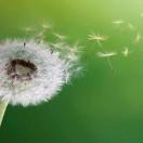 三横一竖就是我51876的个人资料头像