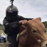 我哪墨迹了头像