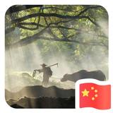 蒋绍军杭州月恒头像