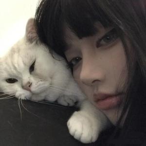 你高兴就好头像