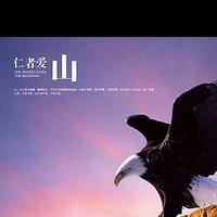飞鹰头像