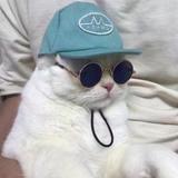 傻子3861头像