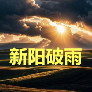 新阳破雨头像