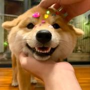 Jerry1437的个人资料头像