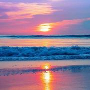 趣味英语学习分享的个人资料头像