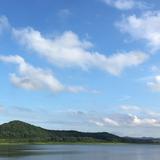 池妞妞的傻狍子头像