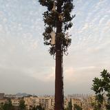 落地静悄悄头像