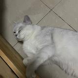 用户6378561595头像