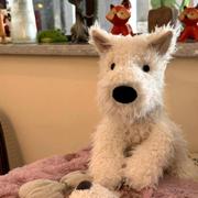 用户63680145103的个人资料头像