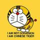 杨飞针头像