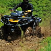 智慧麻酱YdA头像