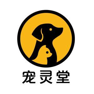 宠灵堂头像