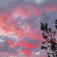 夜空中最亮的洁头像