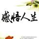 用户6029539361112头像
