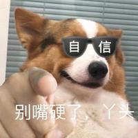 kkddkkdd头像