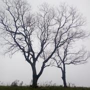 Leeson的个人资料头像