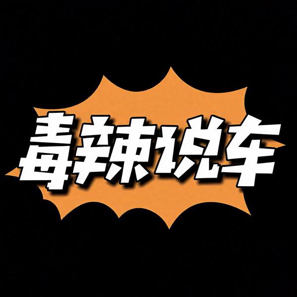 毒辣说车头像