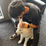 往事随855头像