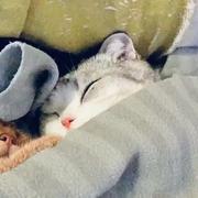 alright的个人资料头像