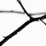 HaPBoy802的个人资料头像