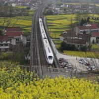 快活的行走头像