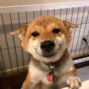 dragon_的个人资料头像