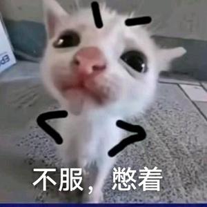 凑字数要头像