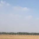 Sweet尛晴天的个人资料头像