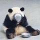 忧悦酱头像
