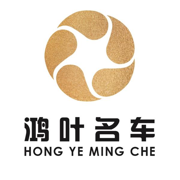 深圳市鸿叶汽车贸易有限公司头像