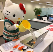用户1782406924062的个人资料头像