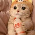 重生之在头条写文章头像