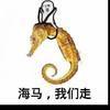 用户5930310051452头像