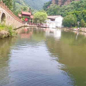 零食水果干果头像