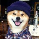 掘金曾小贤的个人资料头像