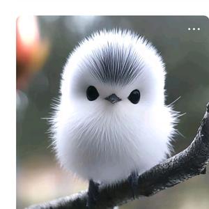 能量满满头像