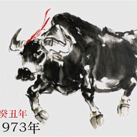 振宇针灸头像