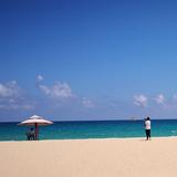 蓬勃路边社头像