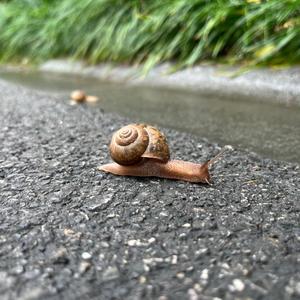 木子寻食记头像