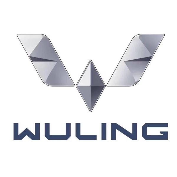 邯郸五菱新能源汽车头像