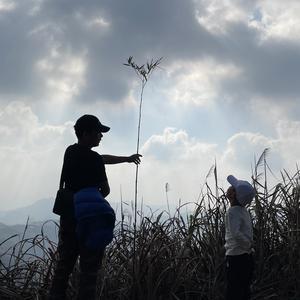 跟铁爸去露营头像