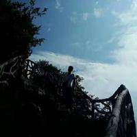 哎呀7043头像