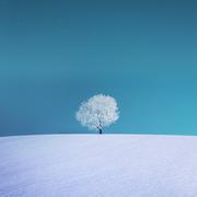 Yuri736的个人资料头像